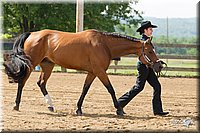 4H-Fun-Show-11_0148.jpg