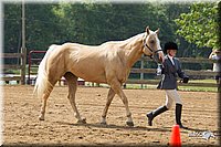 4H-Fun-Show-11_0152.jpg