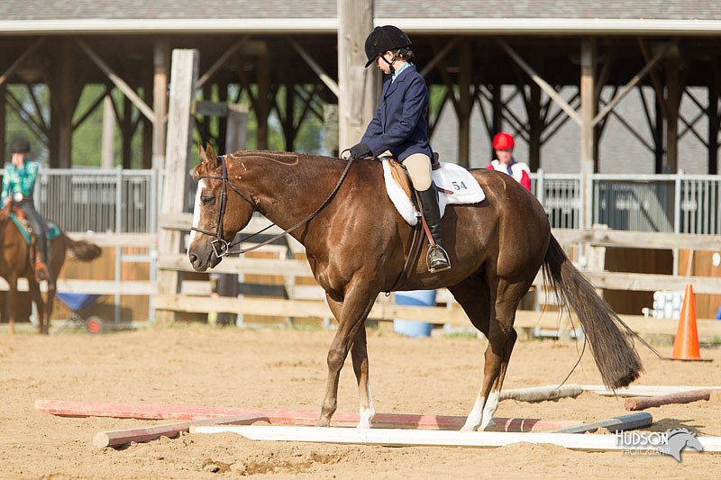4H-Fun-Show-11_1319.jpg