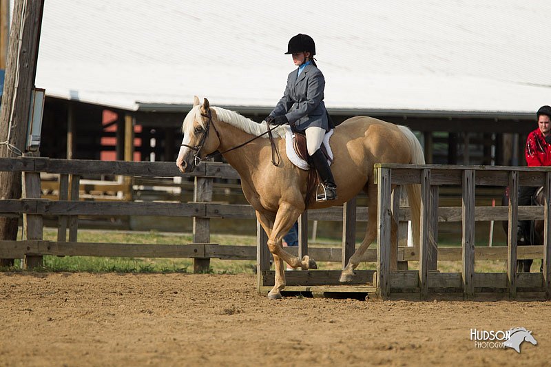 4H-Fun-Show-11_1330.jpg