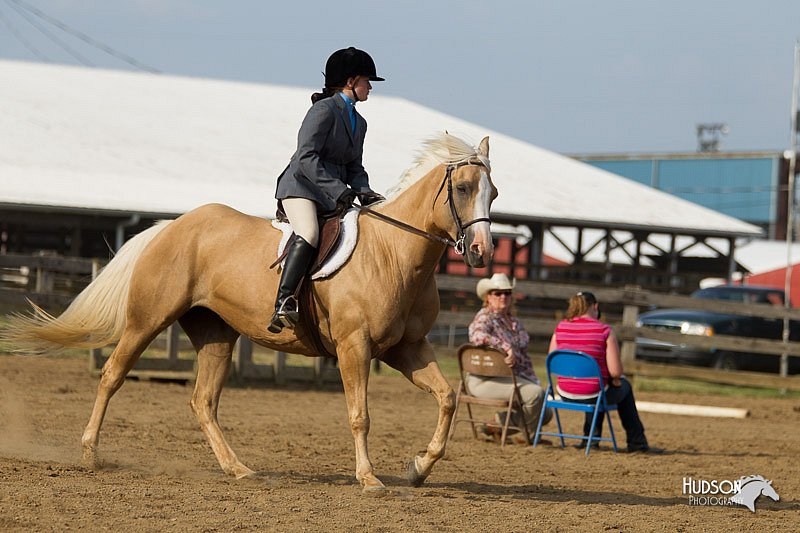 4H-Fun-Show-11_1333.jpg