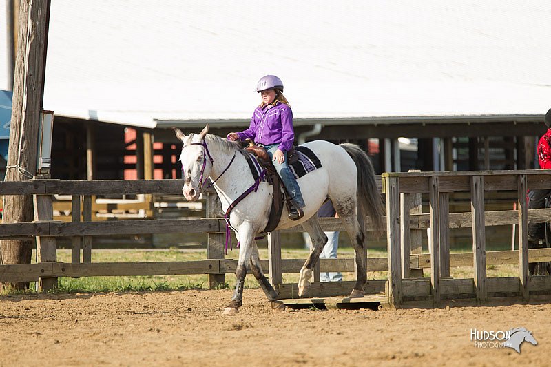 4H-Fun-Show-11_1347.jpg