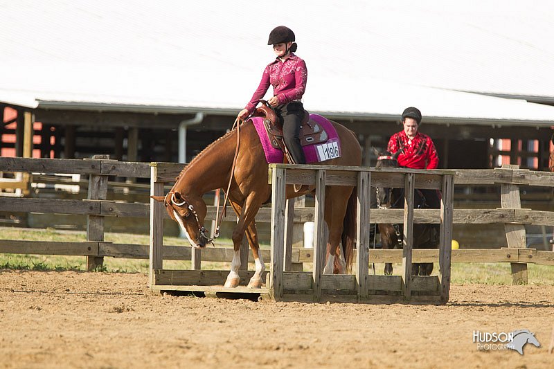 4H-Fun-Show-11_1353.jpg