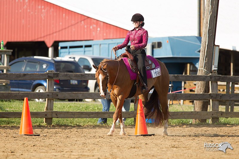 4H-Fun-Show-11_1355.jpg