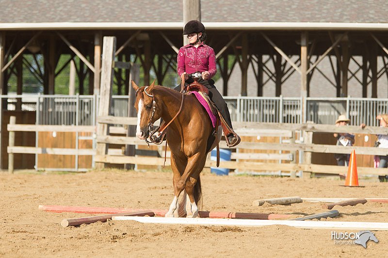 4H-Fun-Show-11_1360.jpg