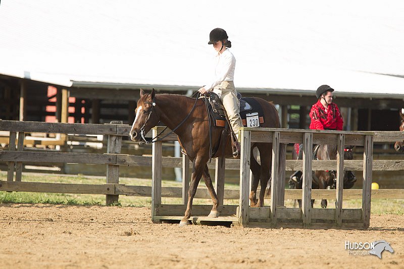 4H-Fun-Show-11_1369.jpg