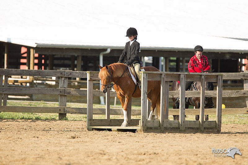 4H-Fun-Show-11_1374.jpg