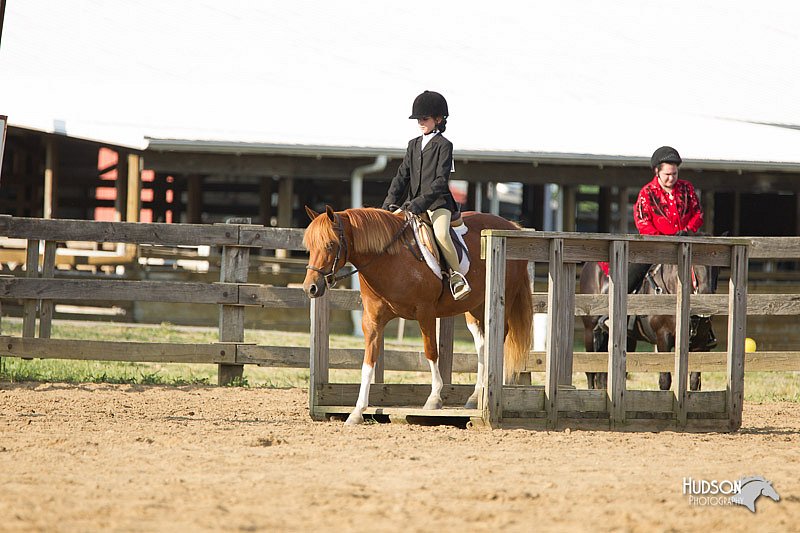 4H-Fun-Show-11_1375.jpg