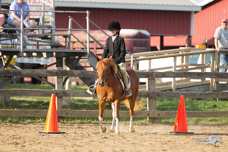 4H-Fun-Show-11_1377.jpg