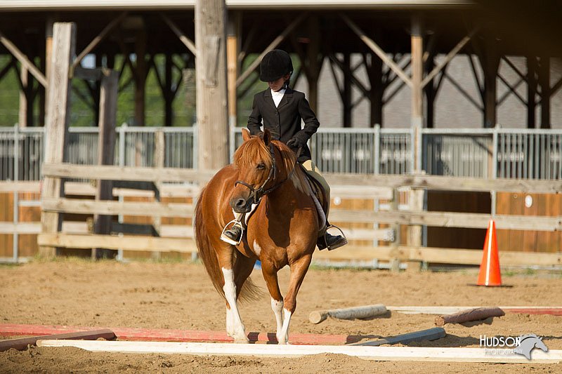 4H-Fun-Show-11_1381.jpg