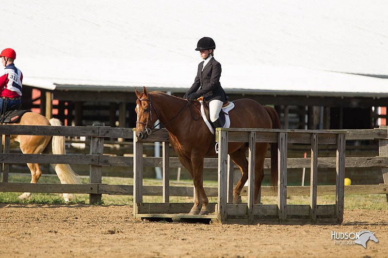 4H-Fun-Show-11_1388.jpg
