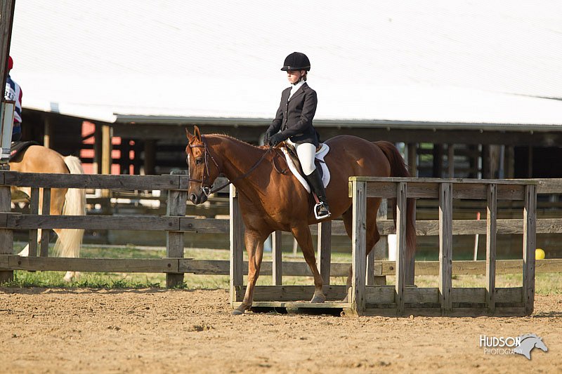 4H-Fun-Show-11_1389.jpg