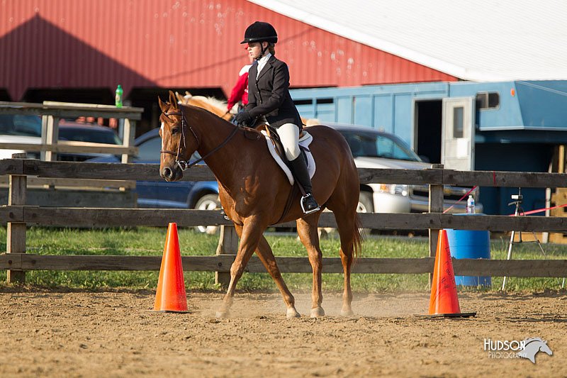 4H-Fun-Show-11_1391.jpg