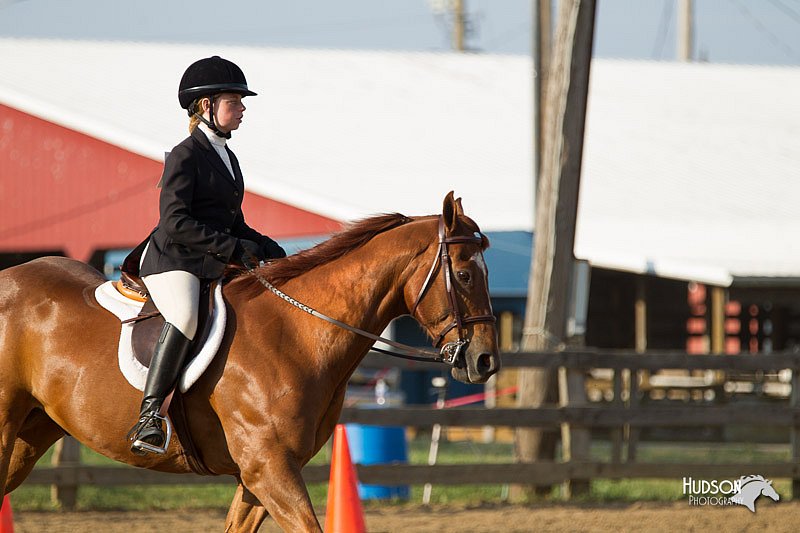 4H-Fun-Show-11_1394.jpg