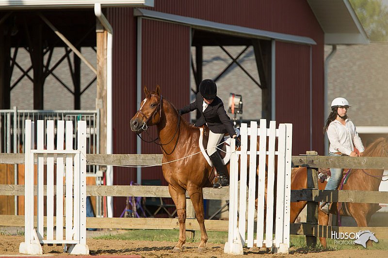 4H-Fun-Show-11_1396.jpg