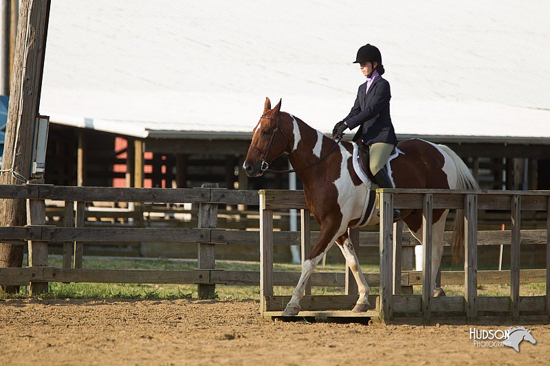 4H-Fun-Show-11_1400.jpg