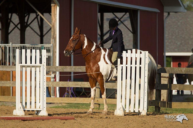 4H-Fun-Show-11_1407.jpg