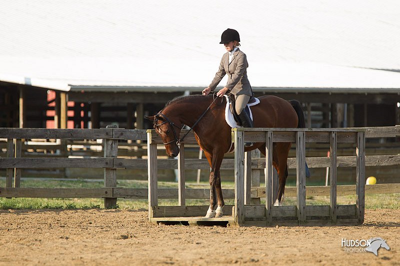 4H-Fun-Show-11_1408.jpg