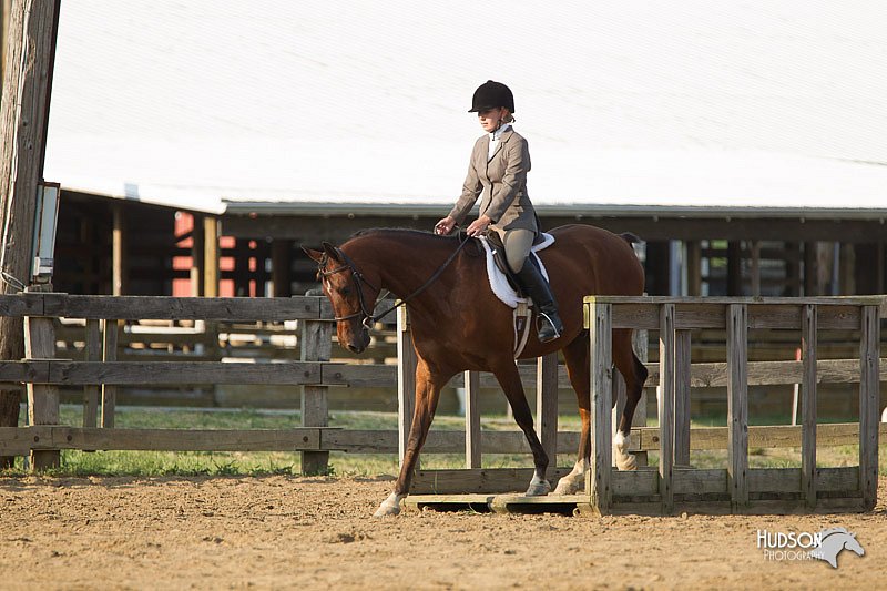 4H-Fun-Show-11_1409.jpg
