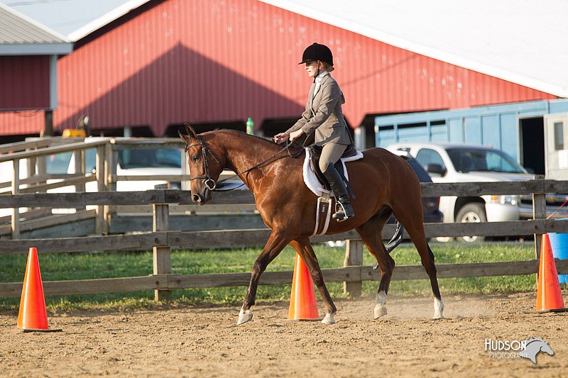4H-Fun-Show-11_1410.jpg
