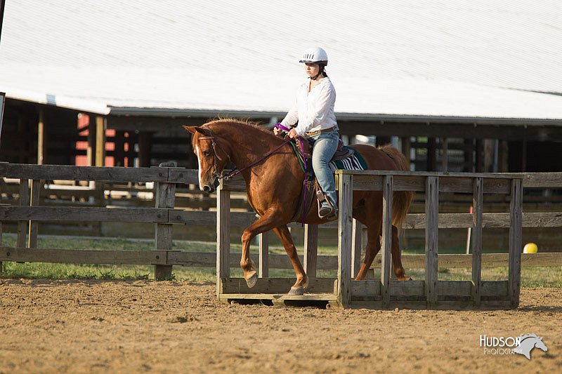 4H-Fun-Show-11_1413.jpg