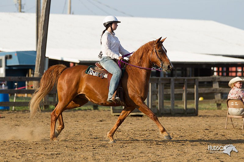 4H-Fun-Show-11_1416.jpg