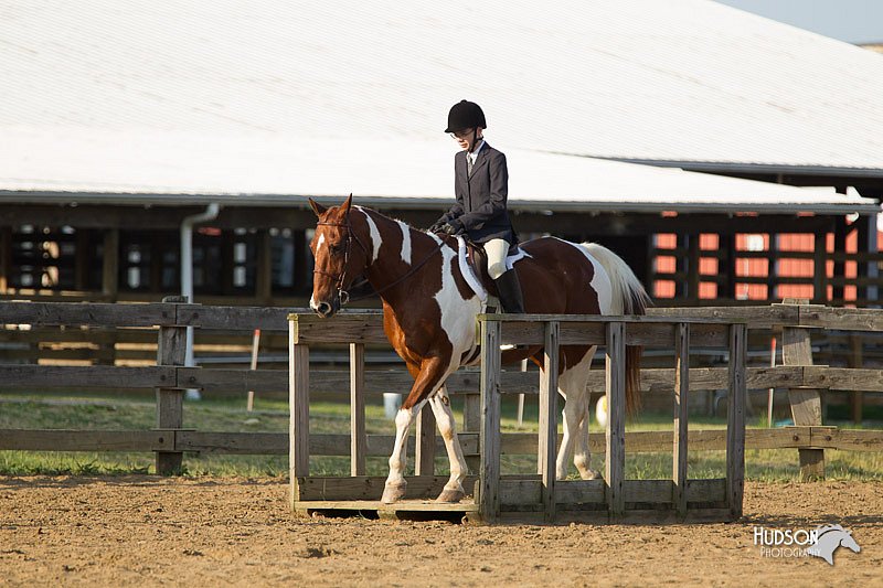 4H-Fun-Show-11_1421.jpg