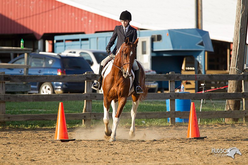 4H-Fun-Show-11_1422.jpg