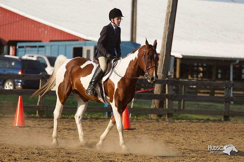 4H-Fun-Show-11_1424.jpg