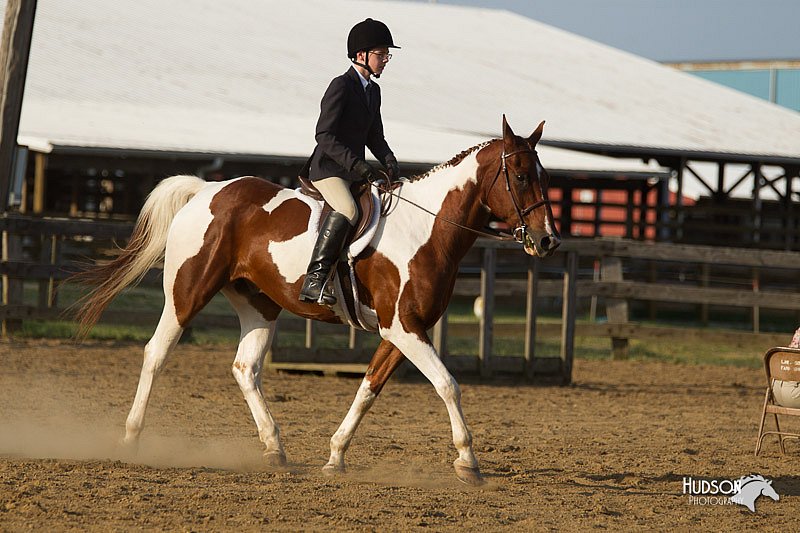 4H-Fun-Show-11_1425.jpg