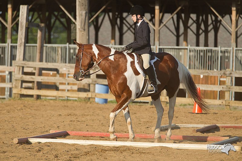 4H-Fun-Show-11_1426.jpg