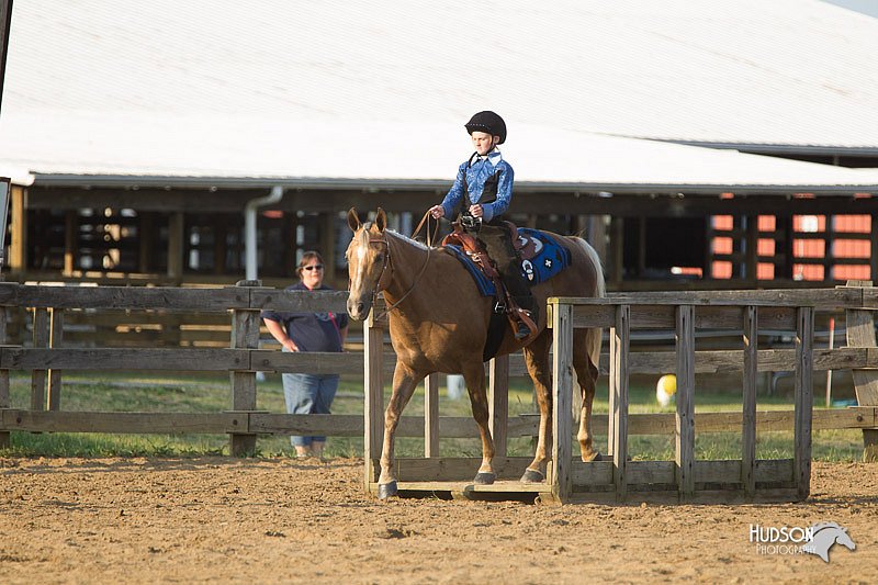 4H-Fun-Show-11_1440.jpg