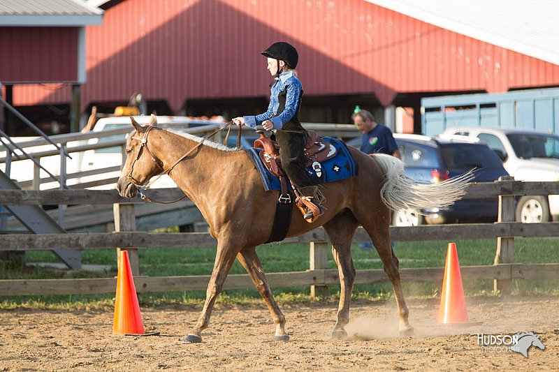 4H-Fun-Show-11_1441.jpg
