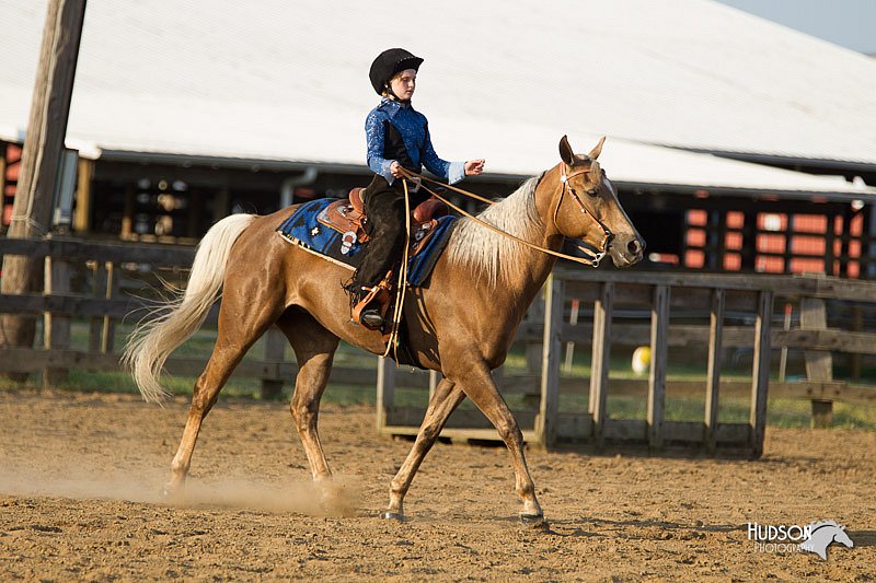 4H-Fun-Show-11_1442.jpg