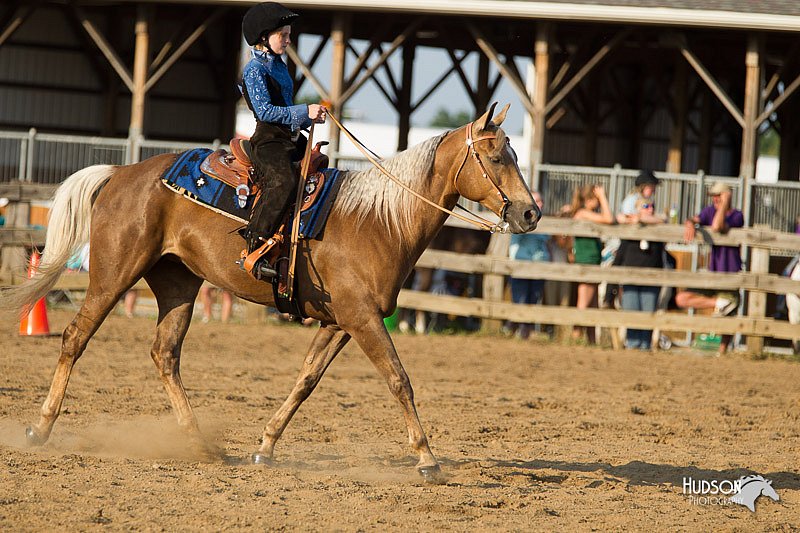 4H-Fun-Show-11_1445.jpg