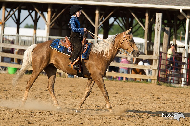 4H-Fun-Show-11_1446.jpg