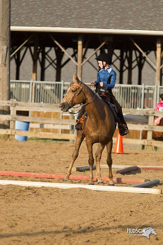 4H-Fun-Show-11_1447.jpg