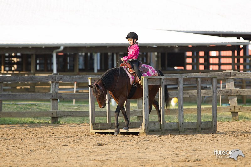 4H-Fun-Show-11_1448.jpg