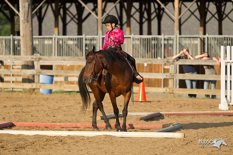 4H-Fun-Show-11_1455.jpg