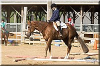 4H-Fun-Show-11_1319.jpg