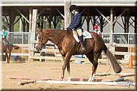 4H-Fun-Show-11_1319.jpg