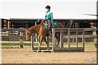 4H-Fun-Show-11_1324.jpg