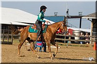 4H-Fun-Show-11_1327.jpg