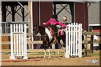 4H-Fun-Show-11_1368.jpg