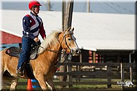 4H-Fun-Show-11_1386.jpg