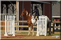 4H-Fun-Show-11_1407.jpg