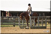 4H-Fun-Show-11_1408.jpg