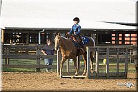 4H-Fun-Show-11_1440.jpg