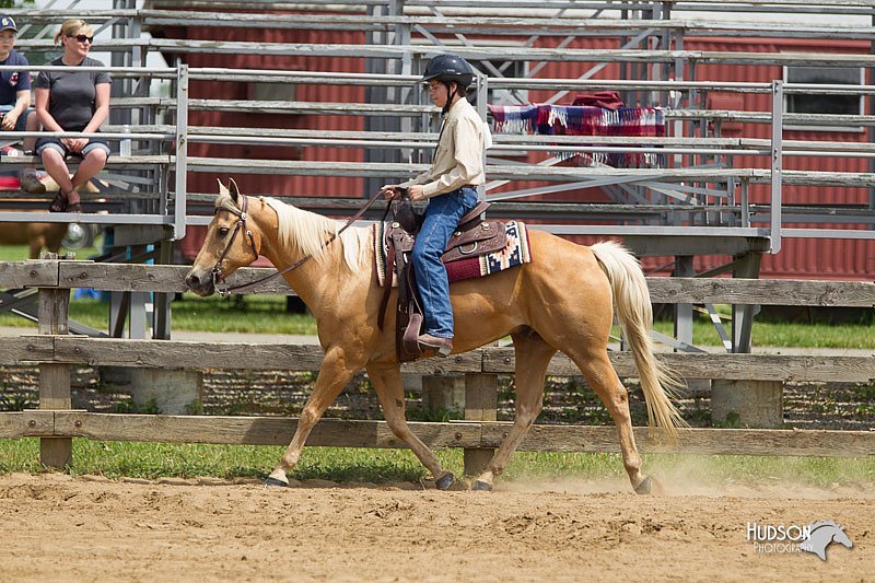 4H-Fun-Show-11_0357.jpg