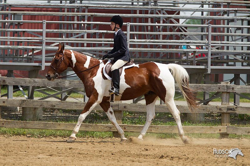 4H-Fun-Show-11_0358.jpg